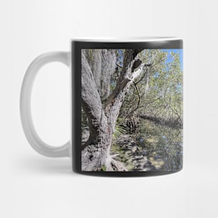 Mangroves and Stream Mug